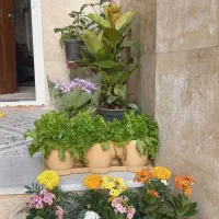 سوییت نوساز با پارکینگ و غذا