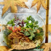 تراریوم ماندگار ، هدیه روز معلم