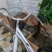 دوچرخه رامبو در حد نو|دوچرخه، اسکیت، اسکوتر|اصفهان, سنبلستان|دیوار