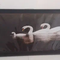 تابلو چراغ دار