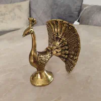 پرستو برنز طاوس برنز