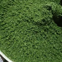 انواع سبزی خورشتی|خوردنی و آشامیدنی|اهواز, سیاحی(سه راه خرمشهر)|دیوار