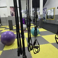 باشگاه پارادایس