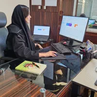 سئوکار حرفه ای،طراح سایت با برنامه نویسی و وردپرس