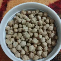 نخوددرجه یک