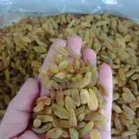 کشمش سبز امسالی ارگانیک بدون تیزاب درجه یک و دو و.|خوردنی و آشامیدنی|اصفهان, زهران|دیوار