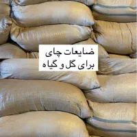 ضایعات چای