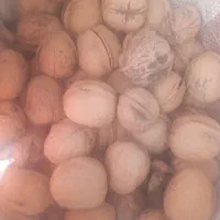 گردو درجه یک