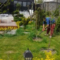 خدمات باغبانی ،هرس کاری،سمپاشی در سراسر مشهد