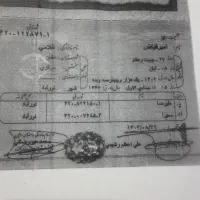 شناسنامه گم شده