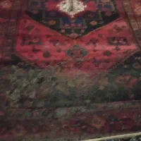 قالی دست بافت قدیمی|فرش|دهگلان, |دیوار