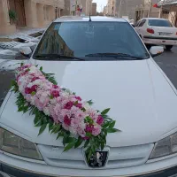 ماشین عروس|گل و گیاه طبیعی|اسلام‌شهر, شهرک الهیه|دیوار