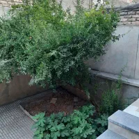 خانه ویلایی|فروش خانه و ویلا|کرمانشاه, |دیوار