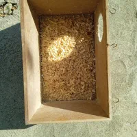 لانه پرنده و چوب پیچی