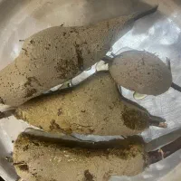 عسل درجه یک خوزستان|خوردنی و آشامیدنی|تهران, تهرانپارس جنوبی|دیوار