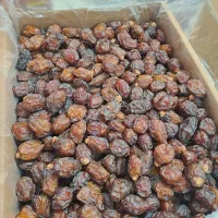 فروش خرما و ریزه درجه یک جم