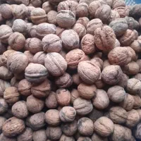 سلام دوستان گردو تازه خشک شده مال امسال