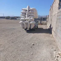 کاه دیم درجه یک