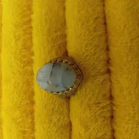 انگشتر شجر دریایی