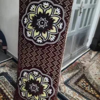 پشتی