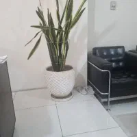 نیرو جهت نظافت منزل