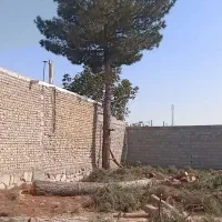 هرس وخرید انواع درخت و چوب