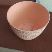 گلدون|گل و گیاه طبیعی|شیراز, لاله|دیوار