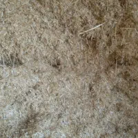 فروش کاه|عمده‌فروشی|جوکار, |دیوار