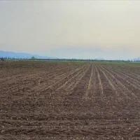زمین-کشاورزی