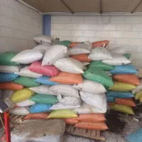 کشمش افتابی نقدی وچکی