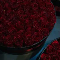 گل جاودان|گل مصنوعی|خرمشهر, |دیوار