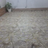 پالاز موکت|موکت|سرپل ذهاب, |دیوار