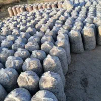 ذرت علوفه|لوازم جانبی حیوانات|دشتابی, |دیوار