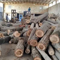 خرید انواع چوب باغی