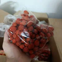 خشکبار اورگانیک