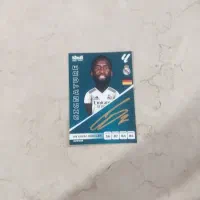 امضا رودیگر