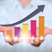 استراتژیست و مشاور تخصصی فروش و بازرگانی