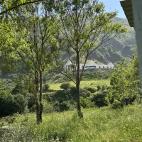 زمین با دکه و مجوز رسمی حیران