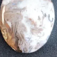 شجر زمستانه|جواهرات|اهواز, پادادشهر|دیوار