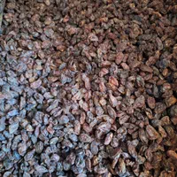 خانهکشمش وعسل شهرکرد|عمدهفروشی|شهرکرد, |دیوار