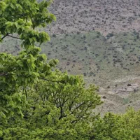 زمین مسکونی شهرک بسیجیان ورنامخواست