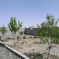 زمین ۷۰۰ متری مجتمع گلها (کاهو) - معاوضه و شرایطی