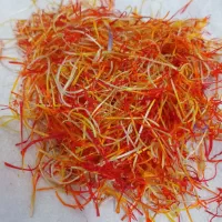 ریشه زعفران