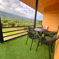 ویلا سوئیسی مدرن دوخواب