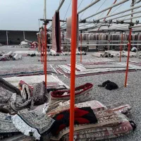 قالیشویی در تمام نقاط تهران و حومه 24ساعته|خدمات نظافت|تهران, سعادتآباد|دیوار