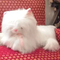عروسک پلیشی