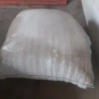 الیاف،پنبه