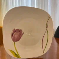 سرویس ۵۲ پارچه آرکوپال|ظروف سرو و پذیرایی|اردبیل, |دیوار