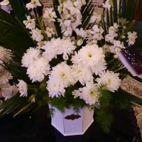 ۳ عدد سبد گل