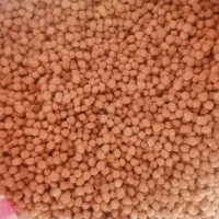 نخود تازه چین روستای کالپوش خوش پخت کیلویی 220